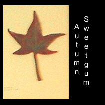 leather sculpture of autumn sweetgum leaf