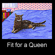 painting of cat (SOLD)