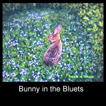 impressionist painting of cottontail rabbit (SOLD)