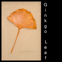 leather sculpture of autumn ginkgo leaf