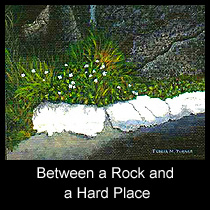painting of wildflowers on rock face