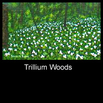 landscape painting of woods with trilliums (SOLD)