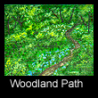 miniature landscape painting of forest path (SOLD)
