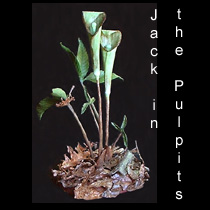 leather sculpture of jack in the pulpit flowers