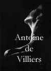 Original Fine Art by Antoine de Villiers