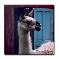 happy llama tile coaster
