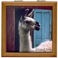 happy llama tile box